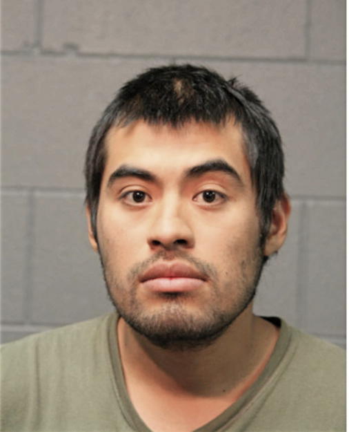 ROBERT ALVAREZ BENITEZ, Cook County, Illinois