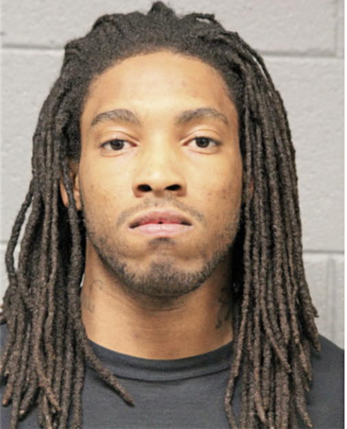 ROBERT L BRAY JR, Cook County, Illinois