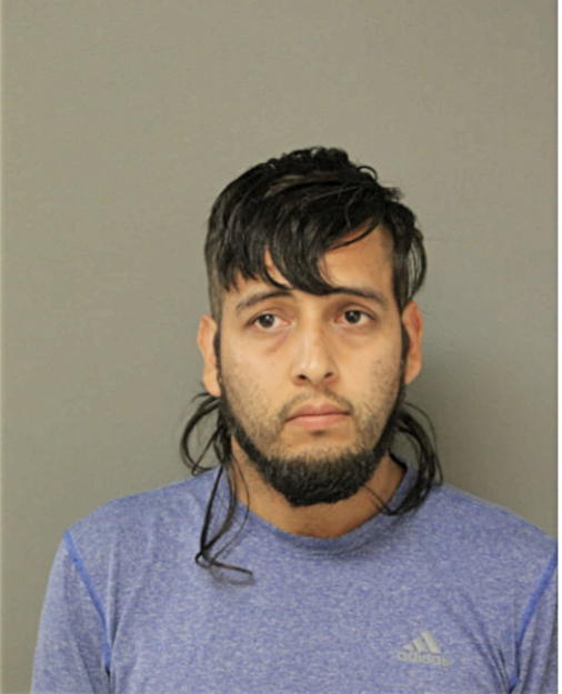RICARDO CAMACHO, Cook County, Illinois