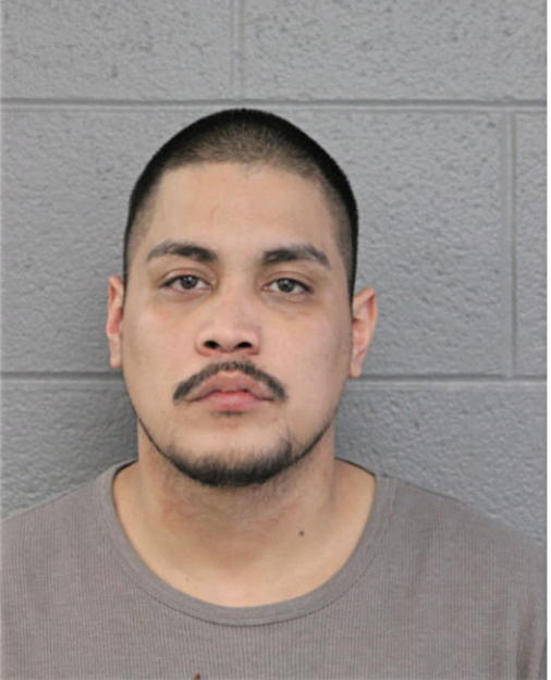 ENRIQUE CARRERA, Cook County, Illinois