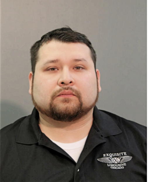 PETER C DELGADO, Cook County, Illinois