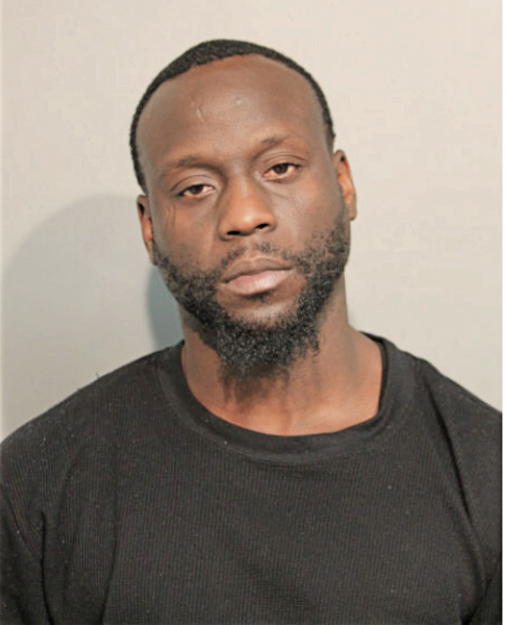 DENNIS S DJIRACKOR, Cook County, Illinois