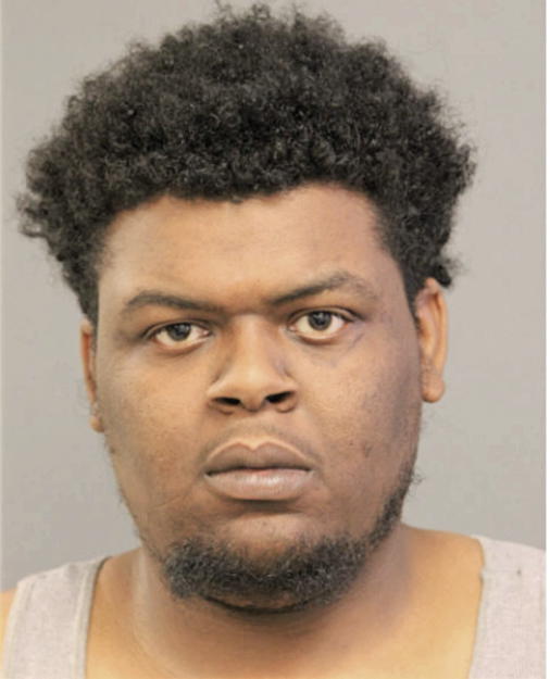 DEANDRE B FREEMAN, Cook County, Illinois