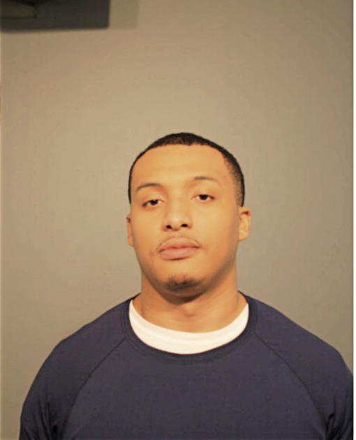 JOHN A GARDNER, Cook County, Illinois