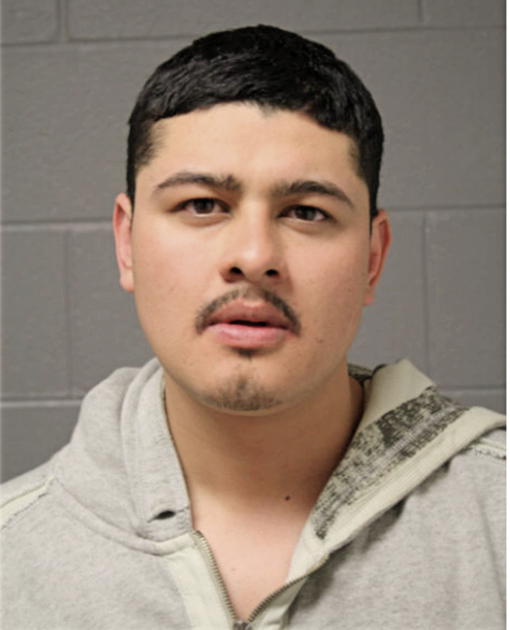 VICTOR M GONZALEZ, Cook County, Illinois