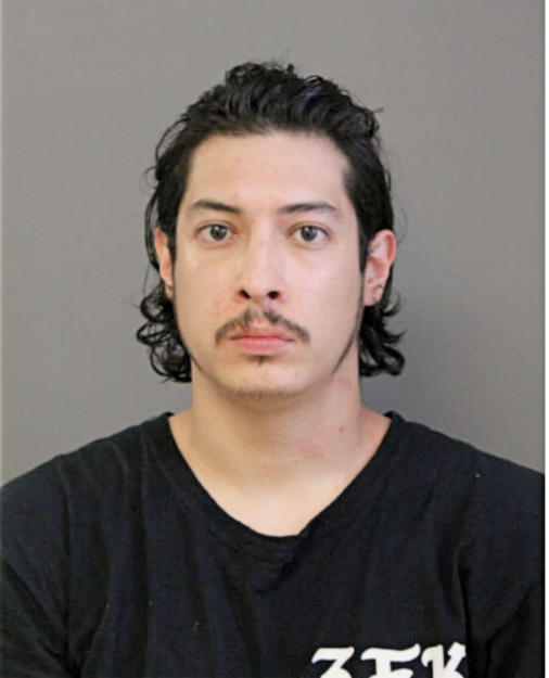 NICOLAS GUERRA, Cook County, Illinois