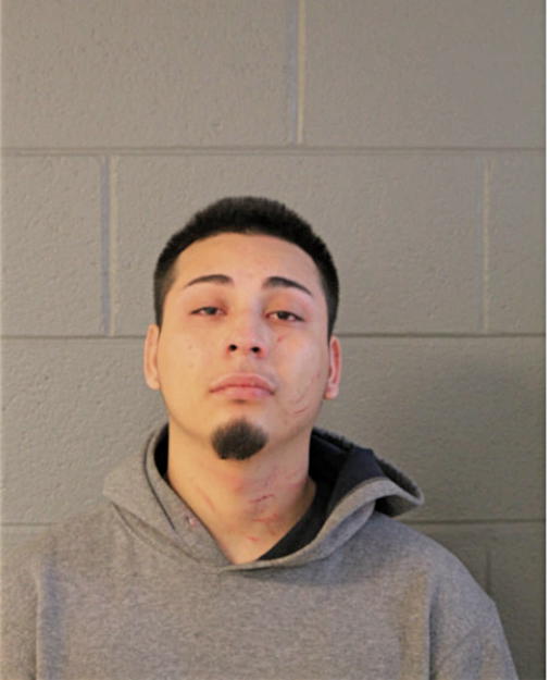 CHRISTIAN A GUTIERREZ, Cook County, Illinois