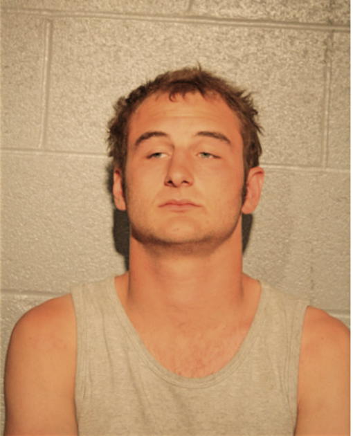 DAKOTA J HERSTON, Cook County, Illinois