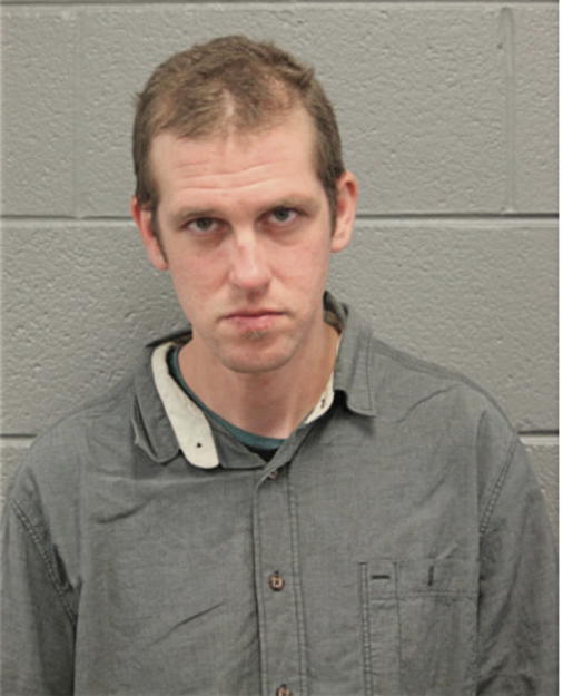 JOEL R HOLZBERG, Cook County, Illinois