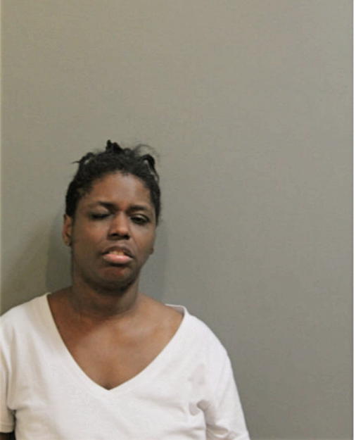 TAMEKA N MCKINNIS, Cook County, Illinois