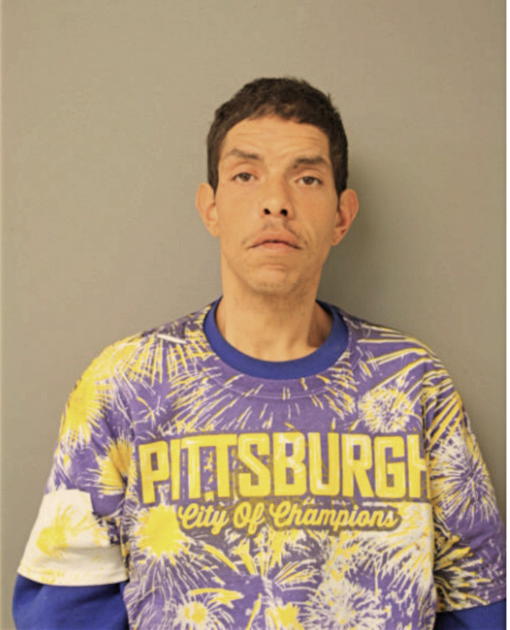 JOEL M MELENDEZ, Cook County, Illinois