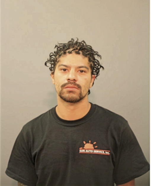 LEONARD MONTENEGRO, Cook County, Illinois