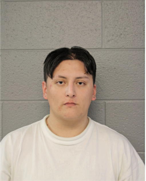 ALEXANDER MONTESDEOCA, Cook County, Illinois