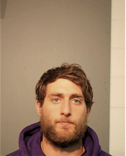 MICHAEL S NAGEL, Cook County, Illinois