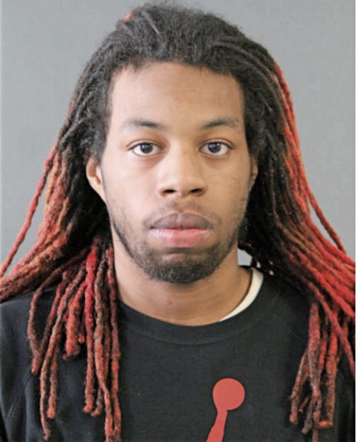 JOSEPH H NEWMAN, Cook County, Illinois