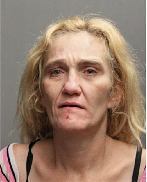 MICHELLE DAWN NORRIS, Cook County, Illinois