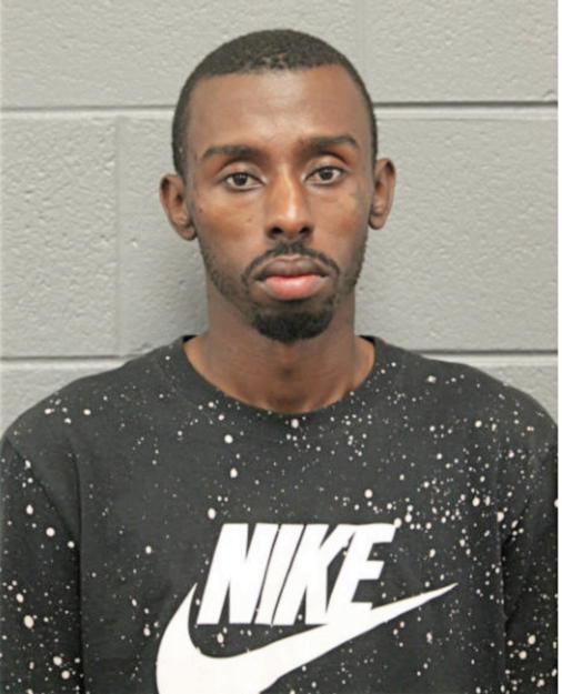 ALGERNON C PERKINS, Cook County, Illinois