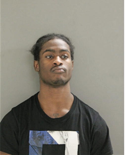 TAVISH R ROGERS, Cook County, Illinois