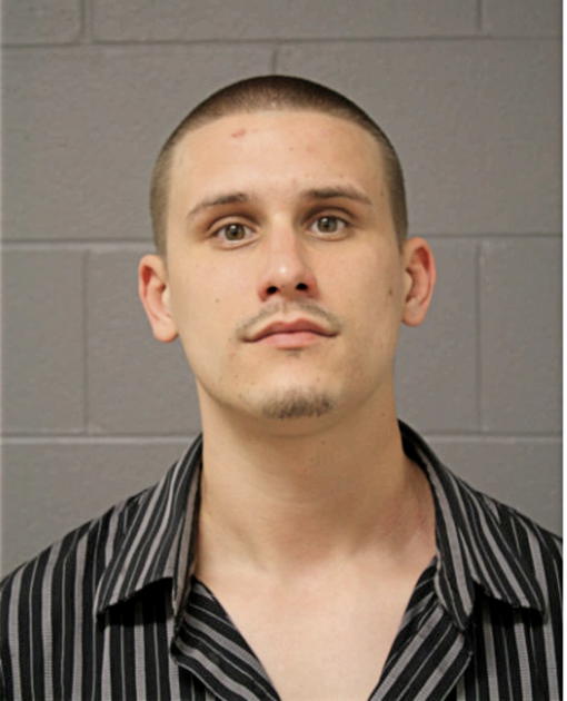 CHARLES M SLUKIS, Cook County, Illinois