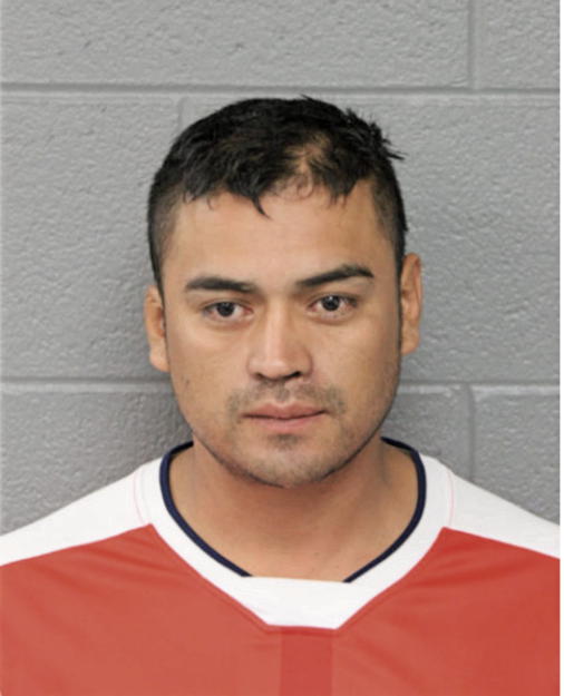 ADRIAN TERRONES, Cook County, Illinois