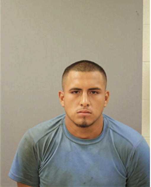 FERNANDO VALON, Cook County, Illinois