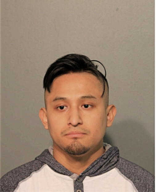 ADELSO DANIEL VICENTE, Cook County, Illinois