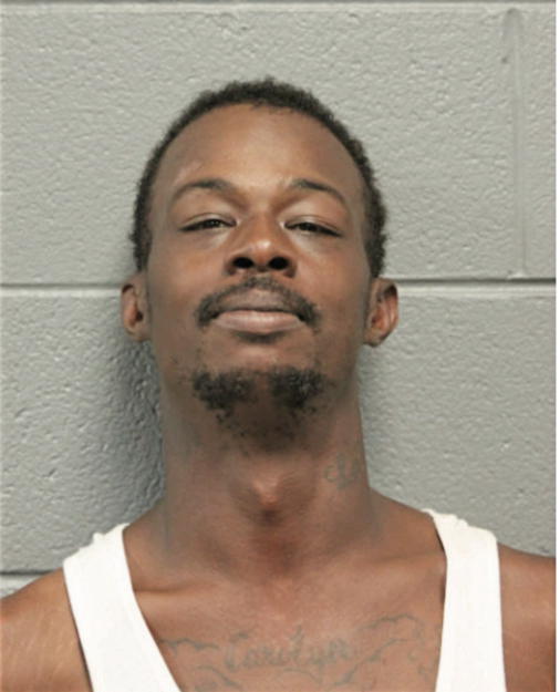 MICHAEL R WHIGHAM, Cook County, Illinois