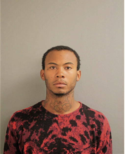 JOEL B WILLIAMS, Cook County, Illinois