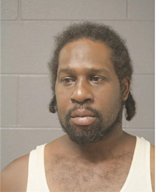 BRIAN L WILSON, Cook County, Illinois