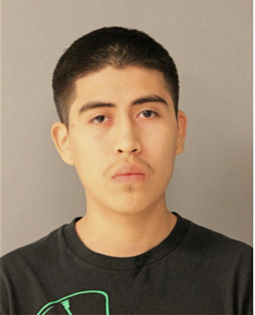 OSWALDO A ALVAREZ, Cook County, Illinois