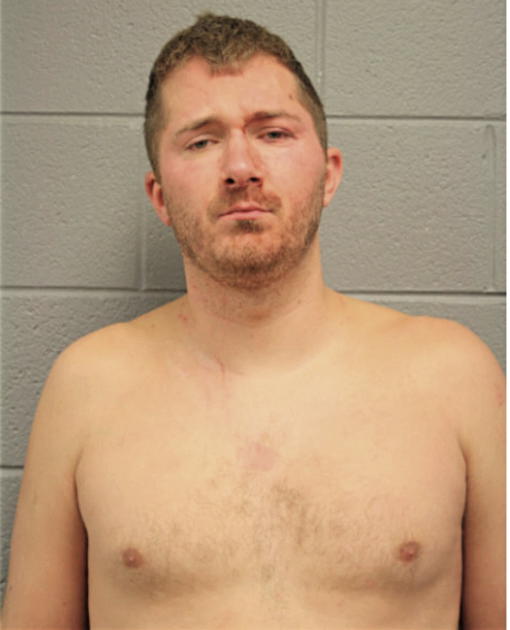JOHN E ANTONIK, Cook County, Illinois