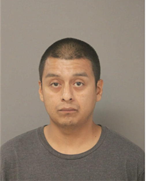 JUAN C BANDERAS, Cook County, Illinois