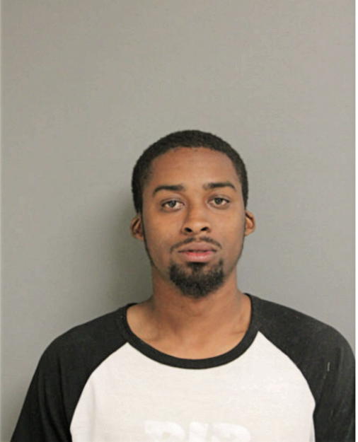 MICHAEL L BURKS, Cook County, Illinois