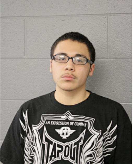 MARIO CALIXTO, Cook County, Illinois