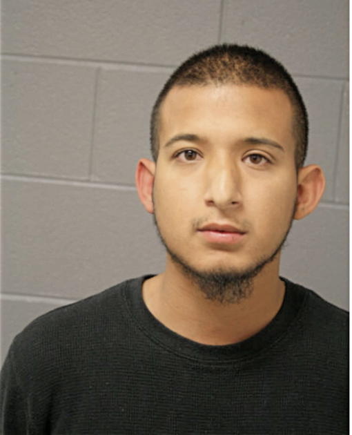 JUAN M INFANTE, Cook County, Illinois
