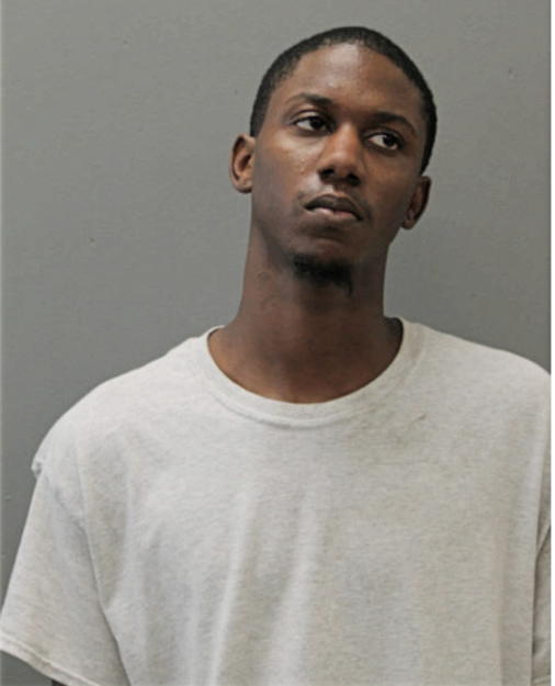 MICHAEL J DOSS, Cook County, Illinois