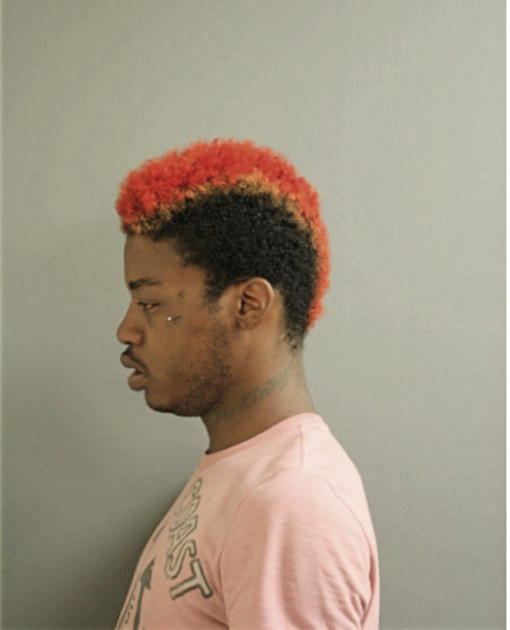 SEMAJ J JONES, Cook County, Illinois