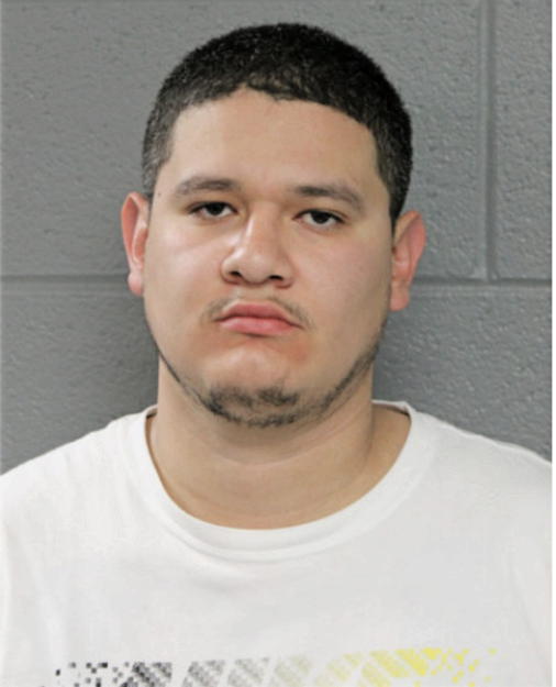 DAVID MERCADO, Cook County, Illinois