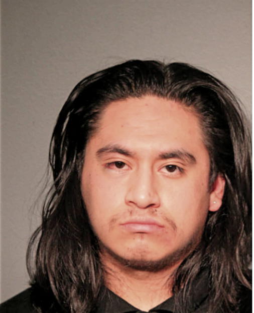 CARLOS MIRIN, Cook County, Illinois