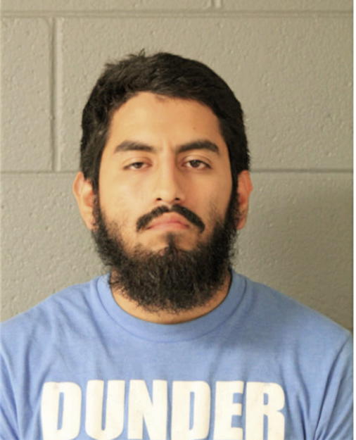 CESAR J PEREZ MURILLO, Cook County, Illinois