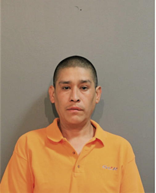 JAMIE REYES, Cook County, Illinois