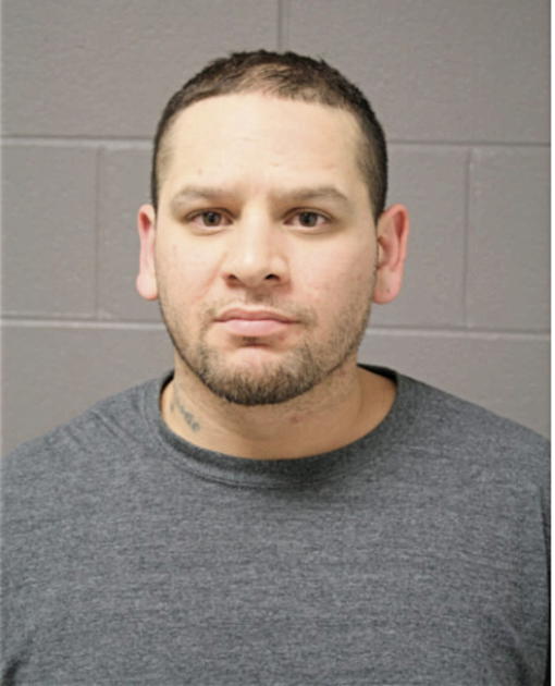 SALVADOR M RIVERA, Cook County, Illinois