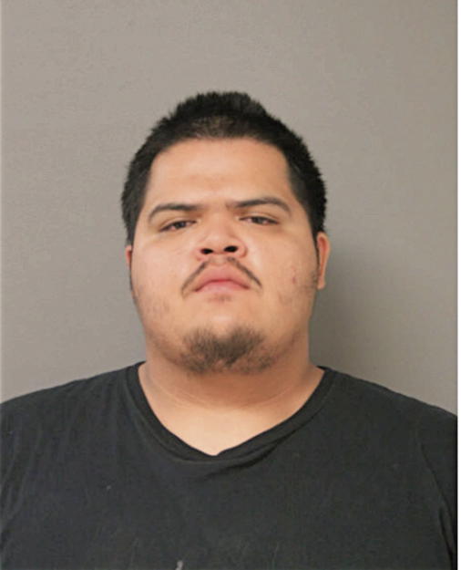 FERNANDO L RODRIGUEZ, Cook County, Illinois