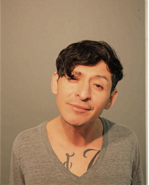 JESUS SEVERO, Cook County, Illinois
