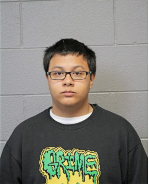 CHRISTIAN S TORRES, Cook County, Illinois