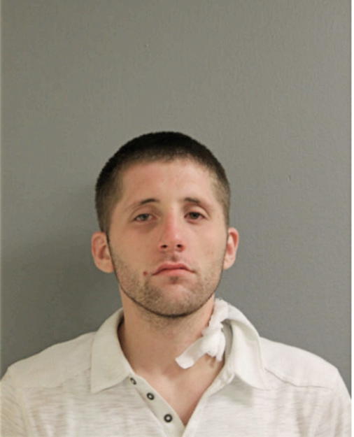 BRETT W BIXENMAN, Cook County, Illinois