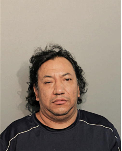 CIRILO CASTILLEJA, Cook County, Illinois