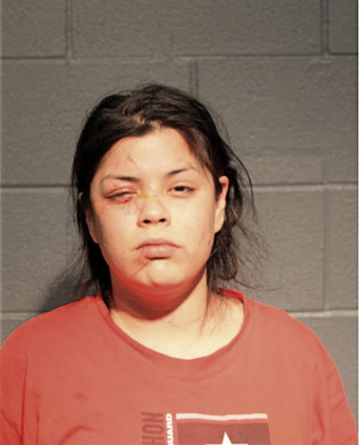 ALEXIS DAVILA, Cook County, Illinois