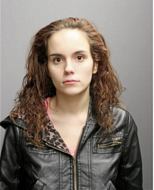 ALYSSA O DENELLE, Cook County, Illinois