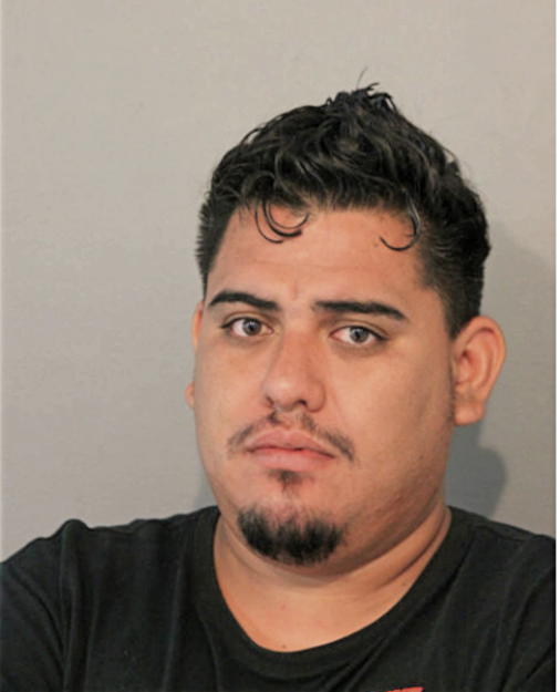 OSCAR VALLE ESTRADA, Cook County, Illinois